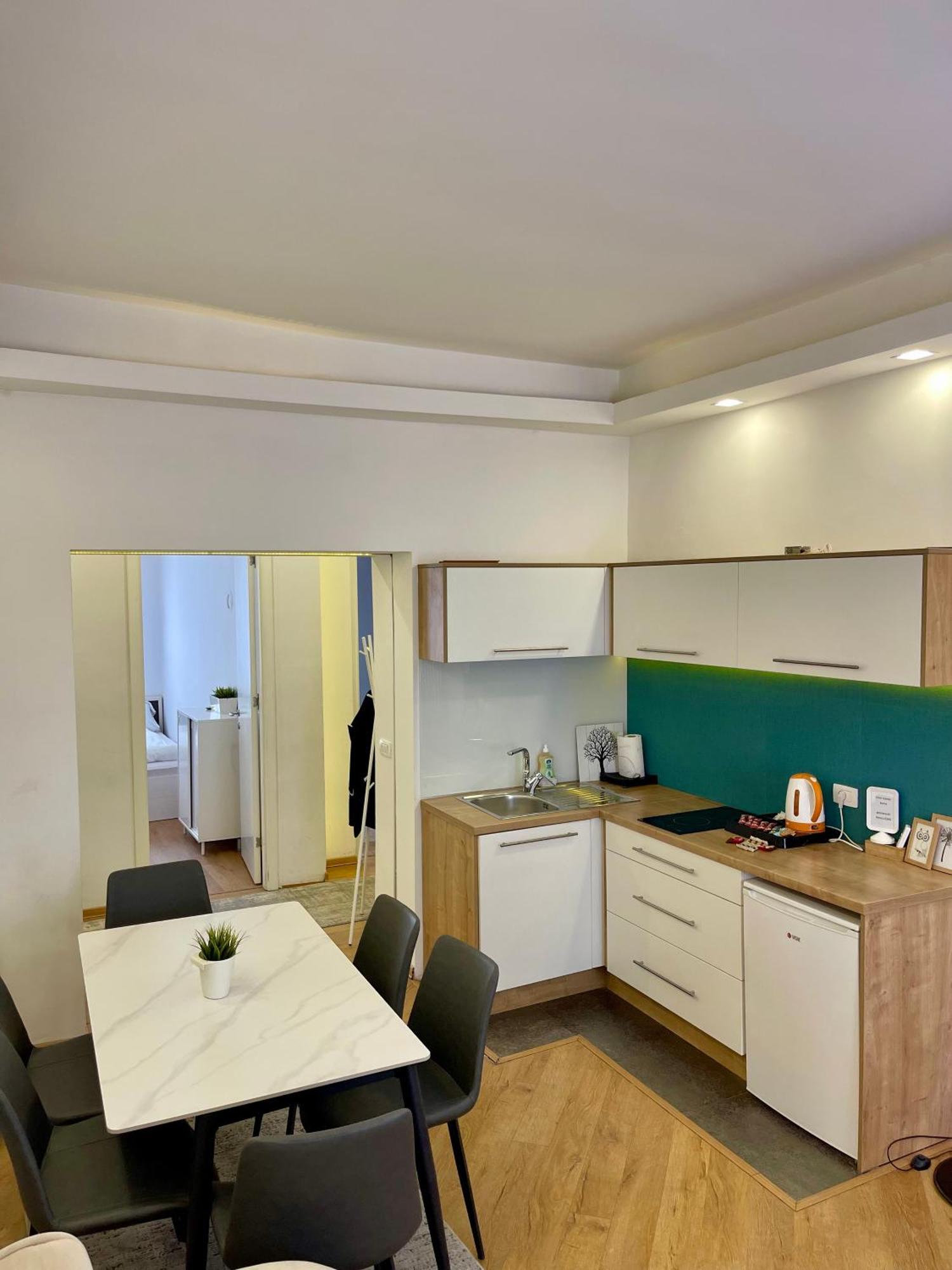 Apartment Saraj-Bosna Free Public Parking Szarajevó Kültér fotó